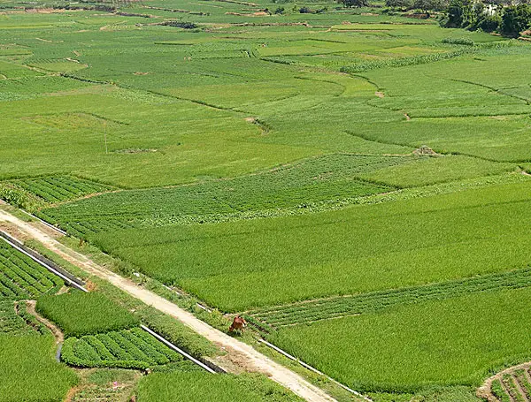 有機(jī)肥設(shè)備在生產(chǎn)中所帶來(lái)的經(jīng)濟(jì)價(jià)值